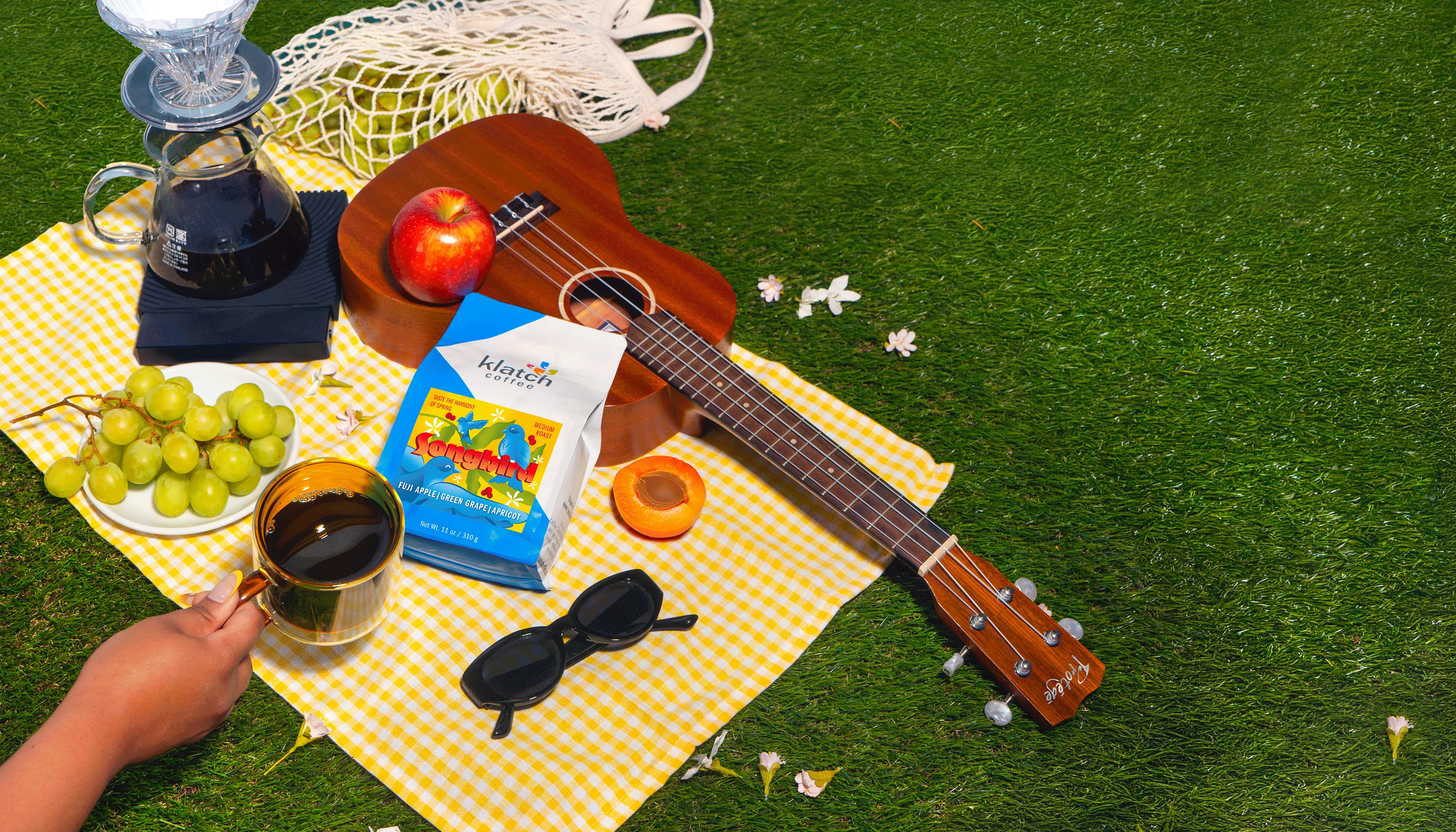 World Class Coffee, Roasted Daily